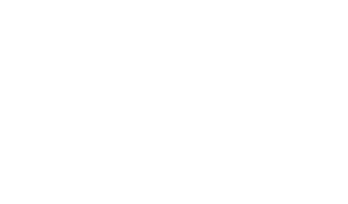 X Cell